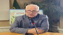 ابلاغ کشت ۱۳۳ هزار هکتار گندم دیم در خراسان رضوی